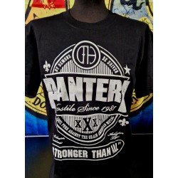Pantera - Stronger then all